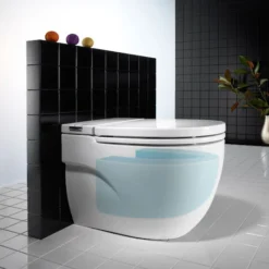 Roca In-Tank Meridian Back To Wall Toilet With Integrated Cistern + Soft Close Seat -Ideal Standard Store 893303000 d1