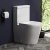 Arezzo BTW Close Coupled Toilet + Soft Close Seat -Ideal Standard Store arzbtwcc lrg1