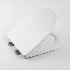 Arezzo Matt White Rimless Back To Wall Toilet Incl. Soft Close Seat -Ideal Standard Store az233pmwd2