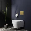 Arezzo Compact Concealed Cistern With Brushed Brass Flush Plate - Round Buttons -Ideal Standard Store azccbrar d6