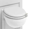 Burlington Soft Close Toilet Seat With Chrome Hinges And Handles - Matt White -Ideal Standard Store s45a51chr d1